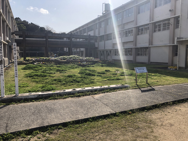 芝生張替え工事